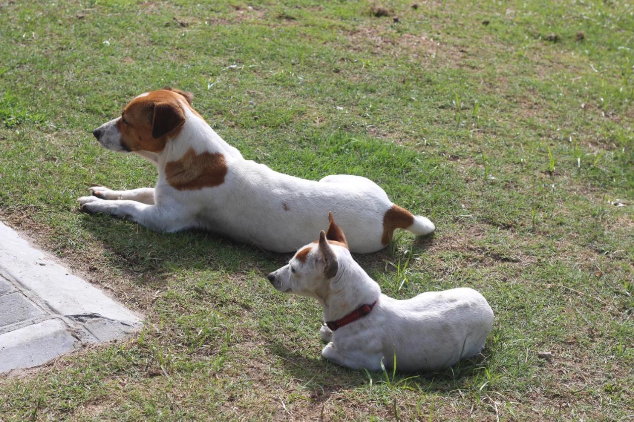 Nature'S Rest เคปทาวน์ ภายนอก รูปภาพ